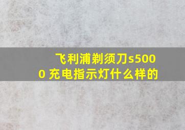 飞利浦剃须刀s5000 充电指示灯什么样的